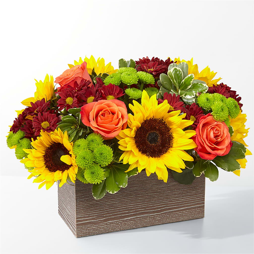 Happy Harvest Garden – SOUTHERN TRADITIONS FLORAL & GIFTS, Swainsboro GA