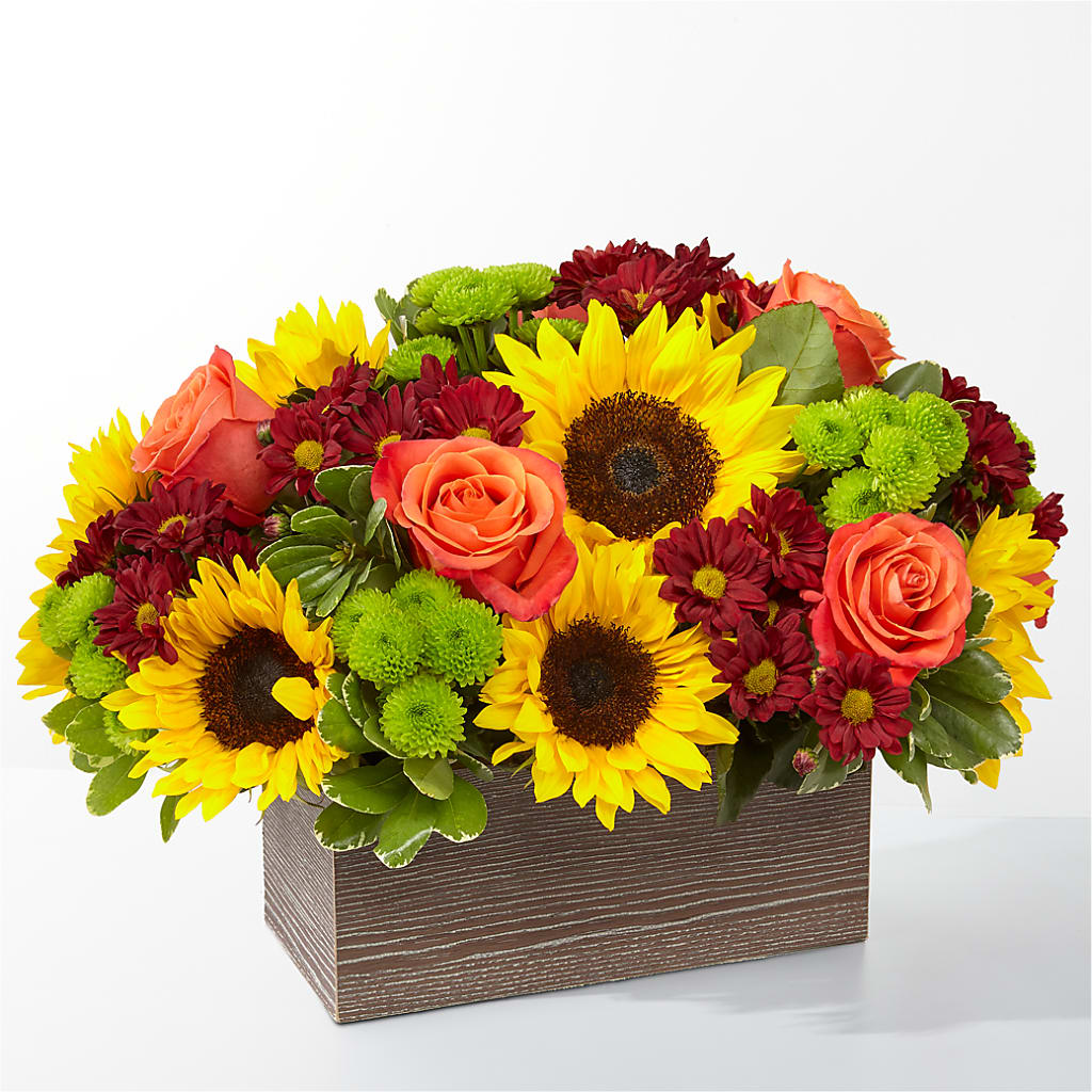 Happy Harvest Garden – SOUTHERN TRADITIONS FLORAL & GIFTS, Swainsboro GA
