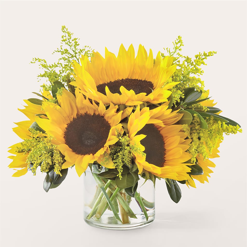 Beaming Sunflower Bouquet – SOUTHERN TRADITIONS FLORAL & GIFTS, Swainsboro GA