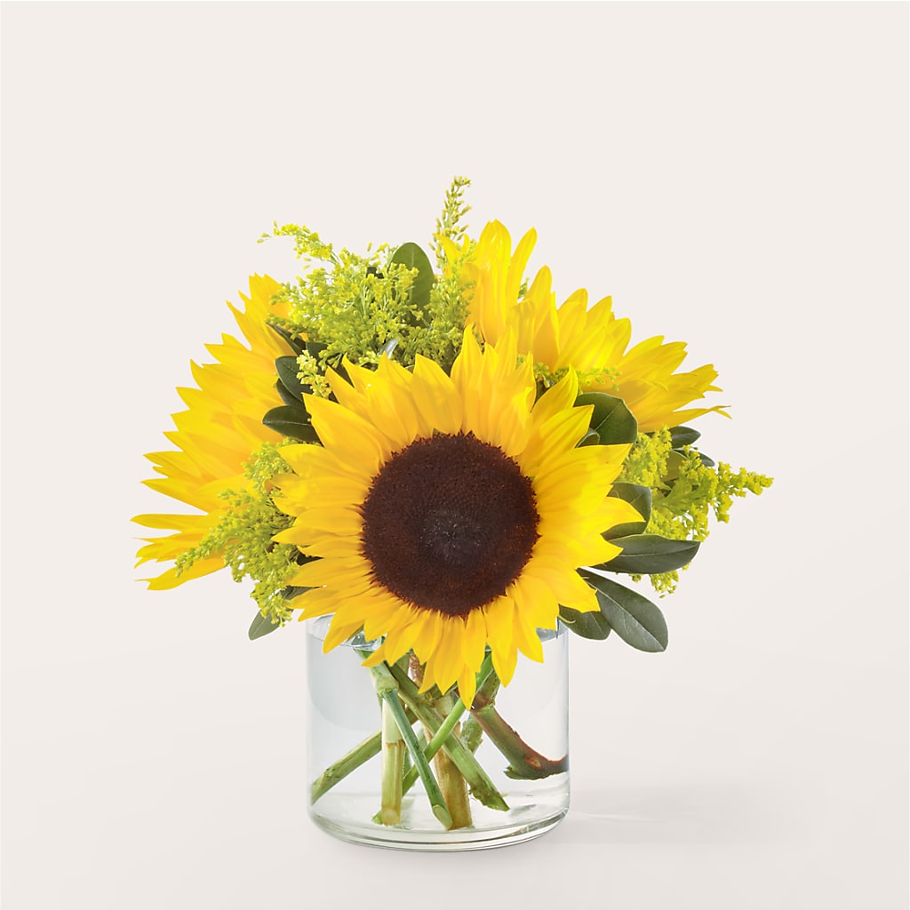 Beaming Sunflower Bouquet – SOUTHERN TRADITIONS FLORAL & GIFTS, Swainsboro GA
