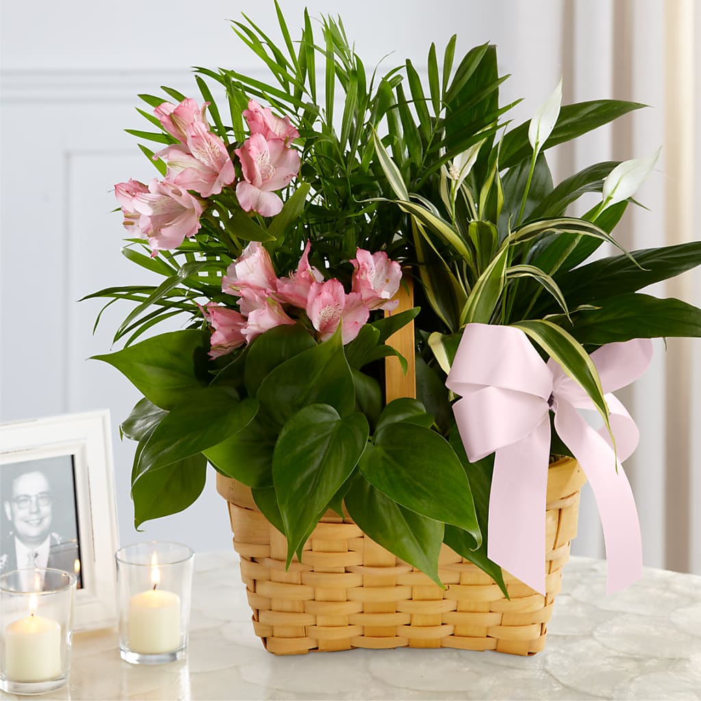Living Spirit Dishgarden – SOUTHERN TRADITIONS FLORAL & GIFTS, Swainsboro GA