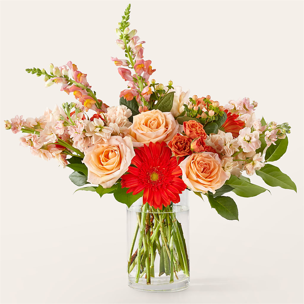 Paloma Please Bouquet – SOUTHERN TRADITIONS FLORAL & GIFTS, Swainsboro GA