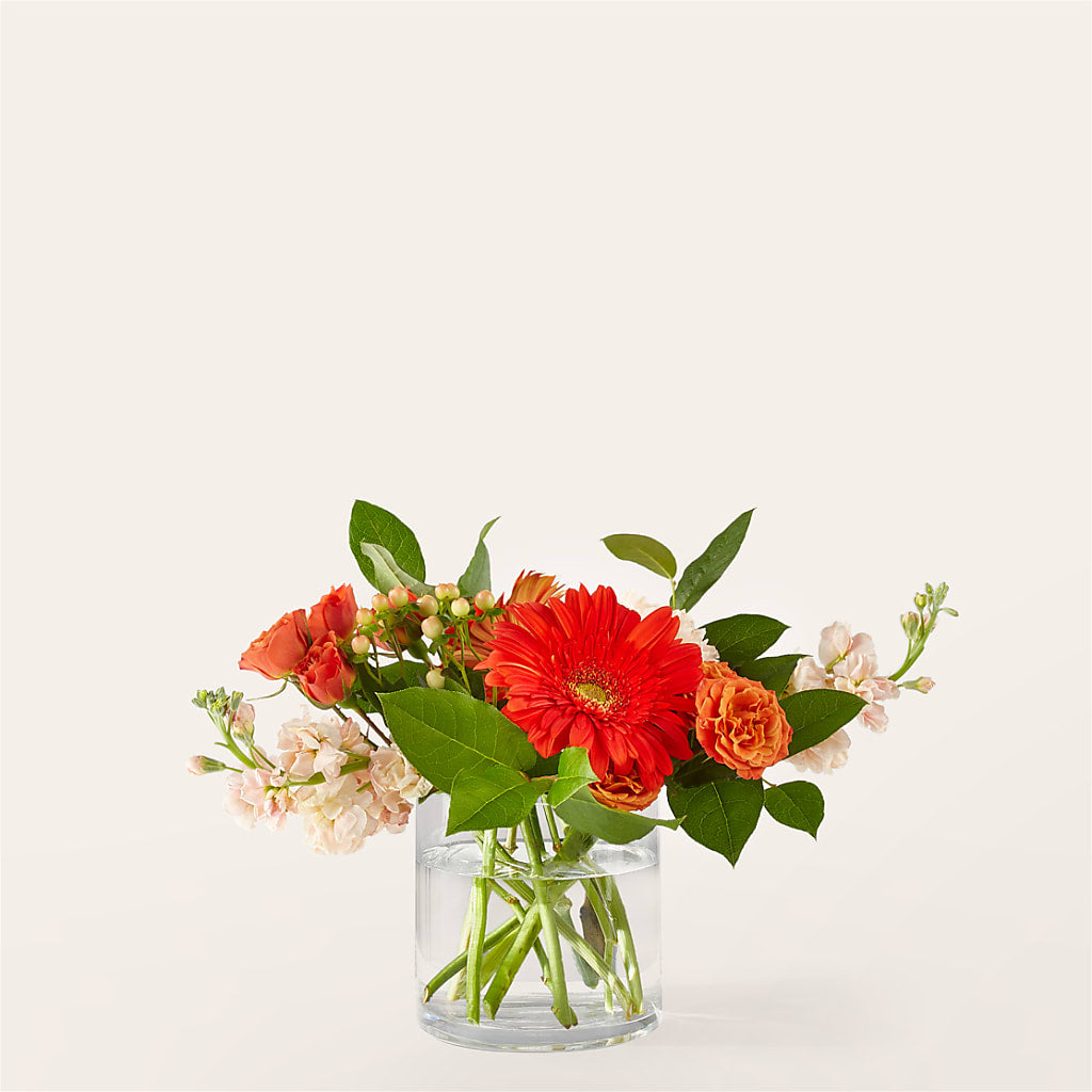 Paloma Please Bouquet – SOUTHERN TRADITIONS FLORAL & GIFTS, Swainsboro GA