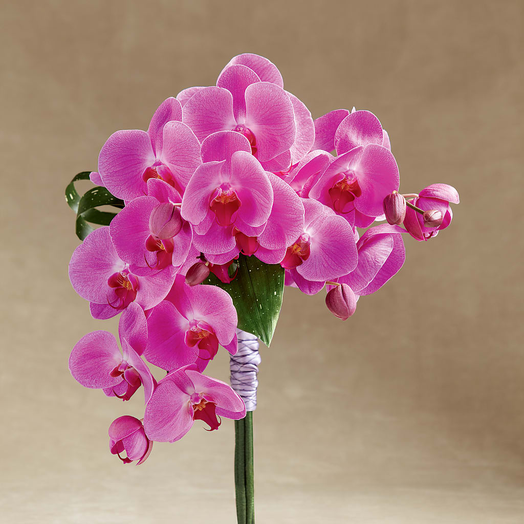 Glorious Bouquet – SOUTHERN TRADITIONS FLORAL & GIFTS, Swainsboro GA