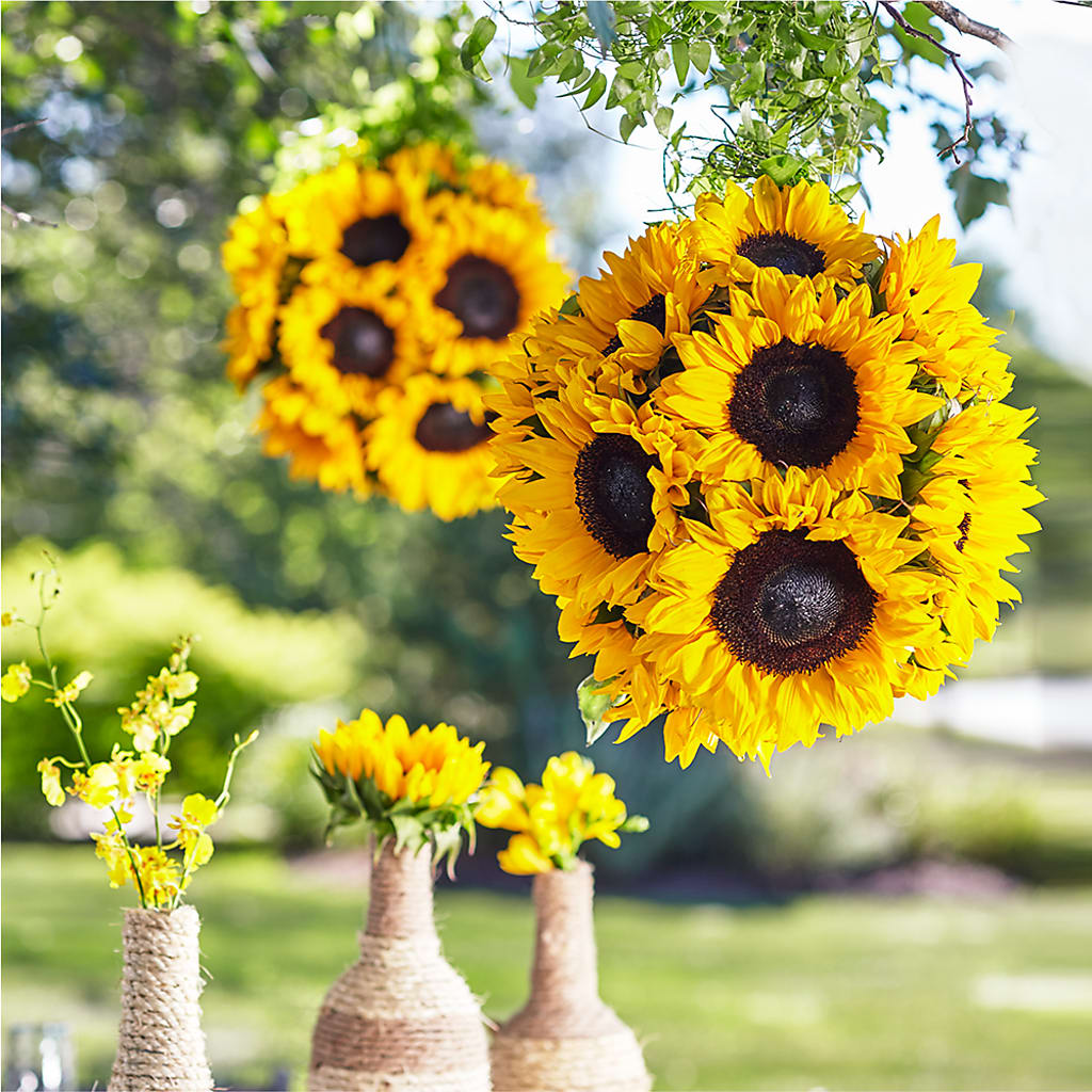 Sublime Garden Hanging Arrangement – SOUTHERN TRADITIONS FLORAL & GIFTS, Swainsboro GA