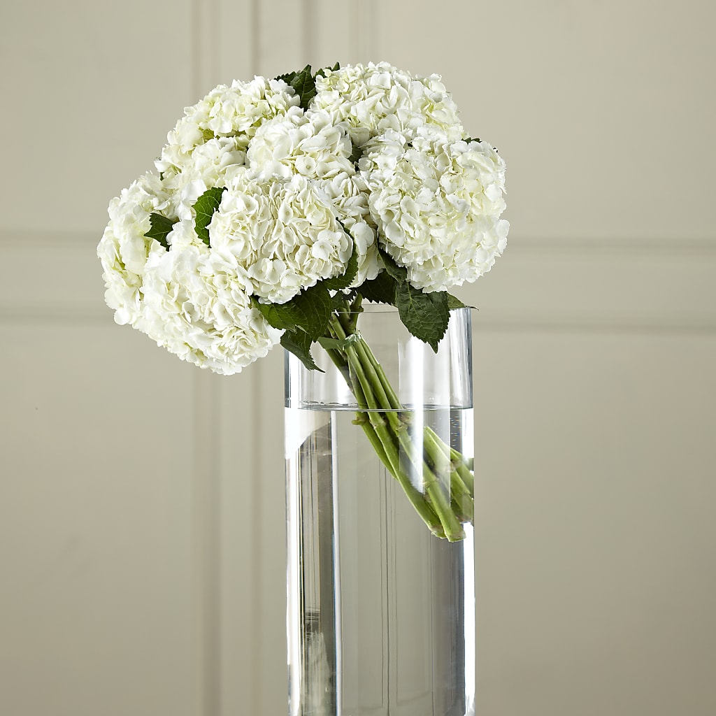 White Hydrangea Hand-Tied Bouquet – SOUTHERN TRADITIONS FLORAL & GIFTS, Swainsboro GA