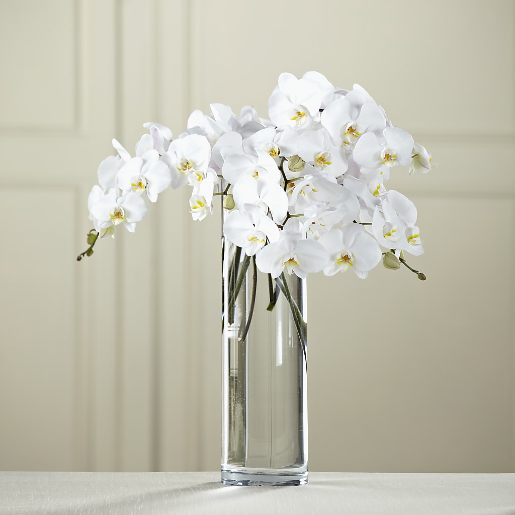 White Phalaenopsis Bouquet – SOUTHERN TRADITIONS FLORAL & GIFTS, Swainsboro GA