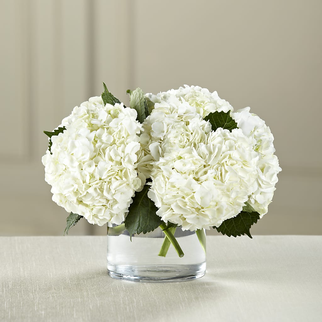 White Hydrangea Bouquet – SOUTHERN TRADITIONS FLORAL & GIFTS, Swainsboro GA