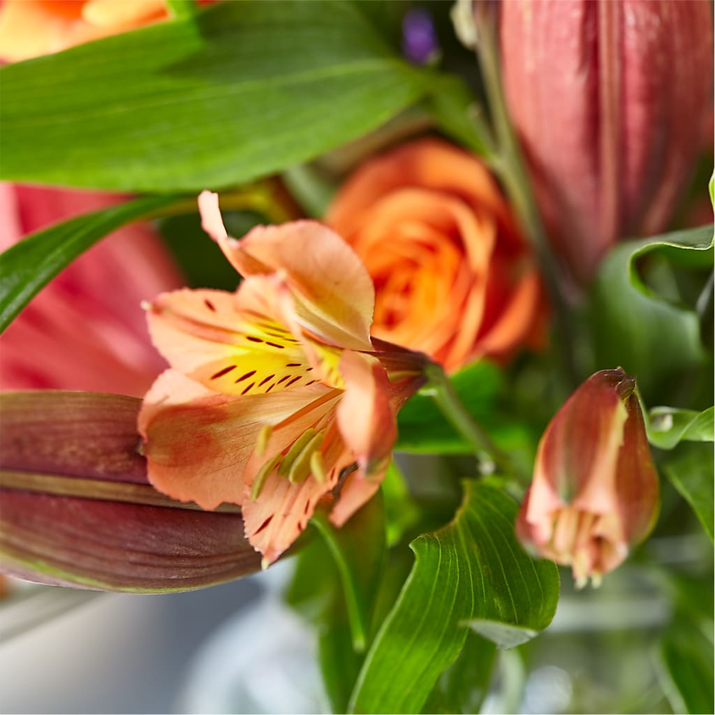 Bold & Bright – A Florist Original – SOUTHERN TRADITIONS FLORAL & GIFTS, Swainsboro GA
