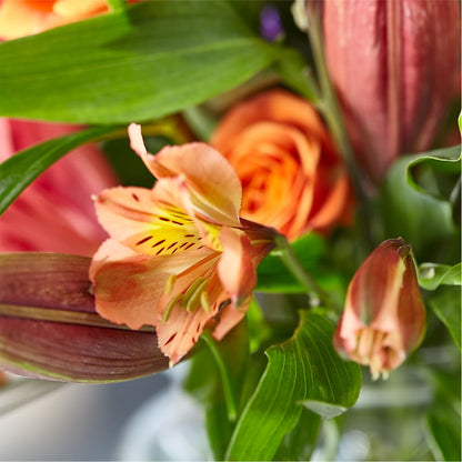 Bold & Bright – A Florist Original – SOUTHERN TRADITIONS FLORAL & GIFTS, Swainsboro GA