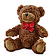 Adorable Plush Bear – SOUTHERN TRADITIONS FLORAL & GIFTS, Swainsboro GA