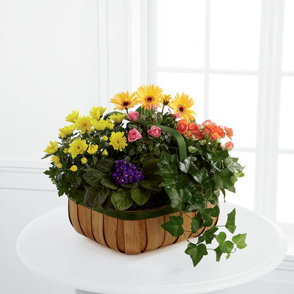 Gentle Blossoms Basket – SOUTHERN TRADITIONS FLORAL & GIFTS, Swainsboro GA