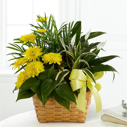 Loving Light Dishgarden – SOUTHERN TRADITIONS FLORAL & GIFTS, Swainsboro GA