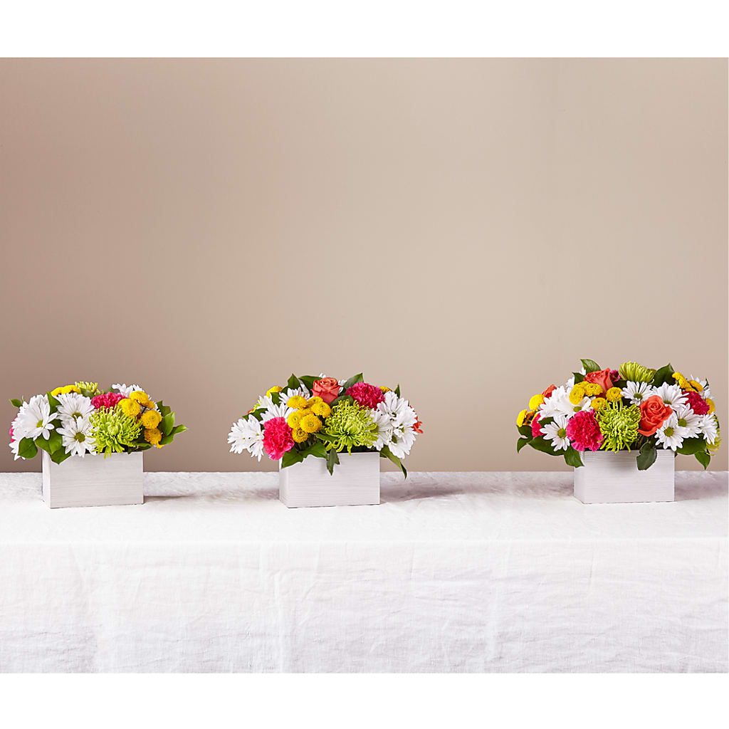 Sorbet Bouquet – SOUTHERN TRADITIONS FLORAL & GIFTS, Swainsboro GA