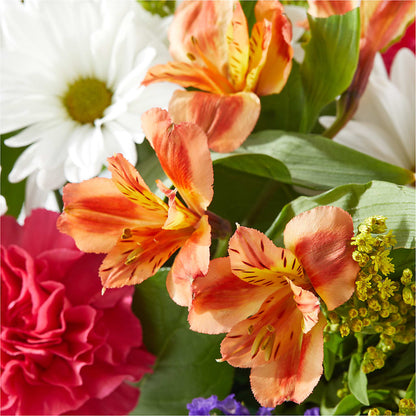 Oopsie Daisy Box Bouquet – SOUTHERN TRADITIONS FLORAL & GIFTS, Swainsboro GA