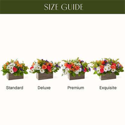 Oopsie Daisy Box Bouquet – SOUTHERN TRADITIONS FLORAL & GIFTS, Swainsboro GA