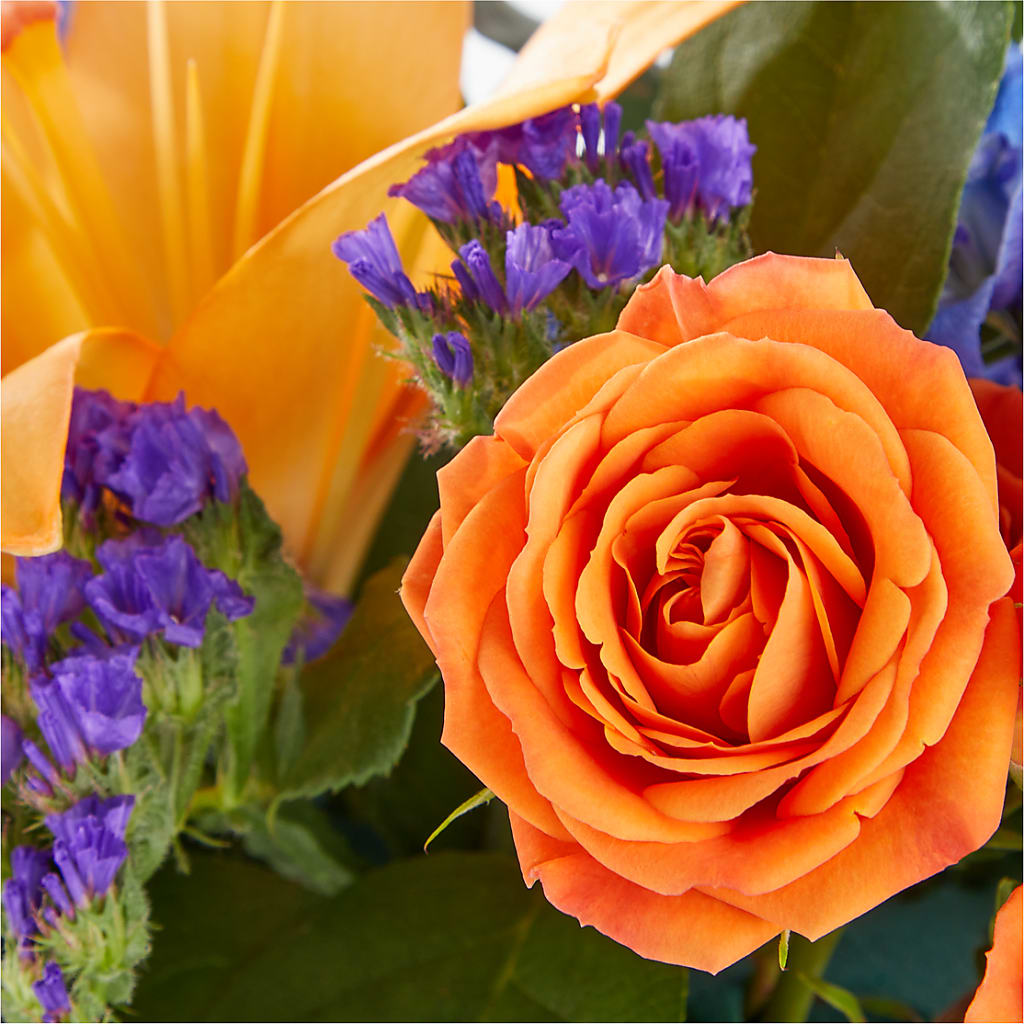 Radiant Citrus Box Bouquet – SOUTHERN TRADITIONS FLORAL & GIFTS, Swainsboro GA
