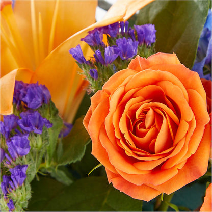 Radiant Citrus Box Bouquet – SOUTHERN TRADITIONS FLORAL & GIFTS, Swainsboro GA