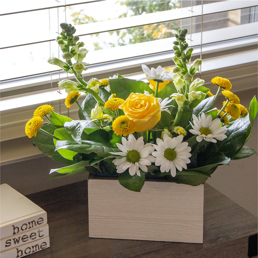 Sun Salutation Box Bouquet – SOUTHERN TRADITIONS FLORAL & GIFTS, Swainsboro GA