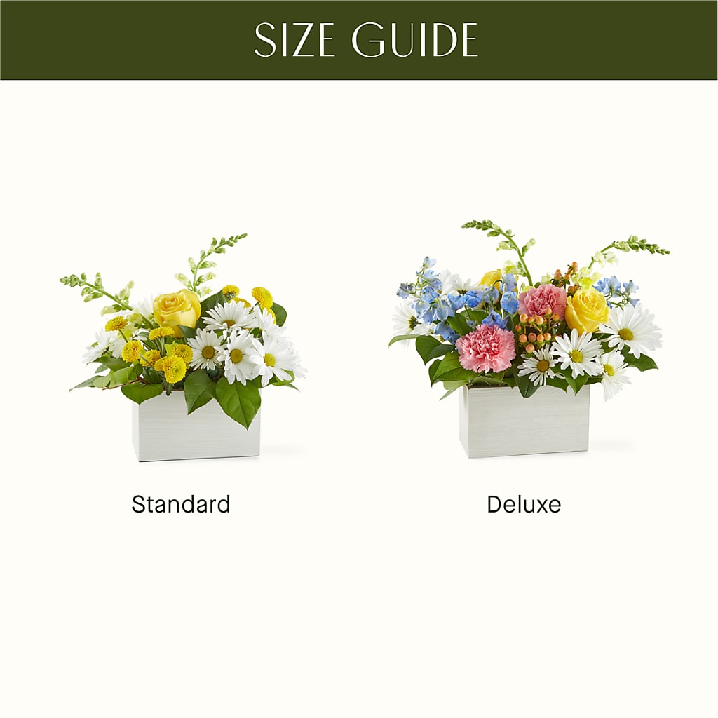 Sun Salutation Box Bouquet – SOUTHERN TRADITIONS FLORAL & GIFTS, Swainsboro GA