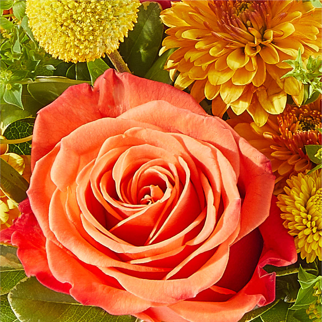 Gourdgeous Pumpkin – SOUTHERN TRADITIONS FLORAL & GIFTS, Swainsboro GA