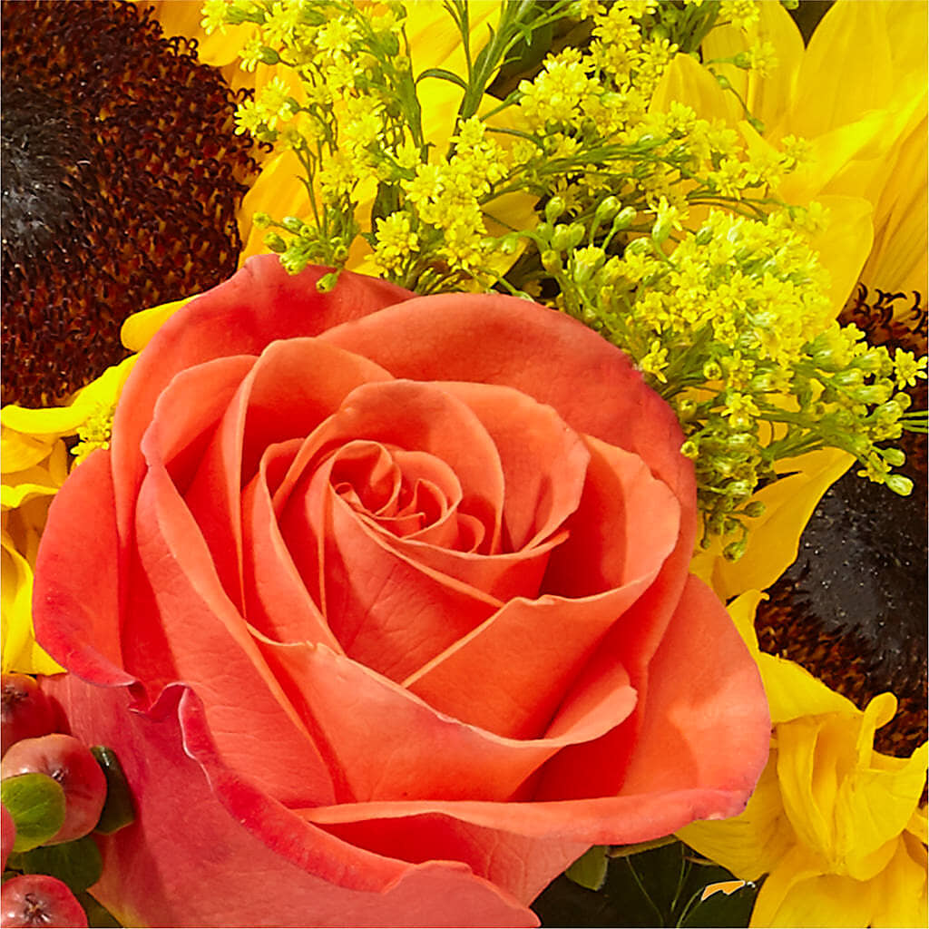 Pick of the Patch Pumpkin Bouquet – SOUTHERN TRADITIONS FLORAL & GIFTS, Swainsboro GA