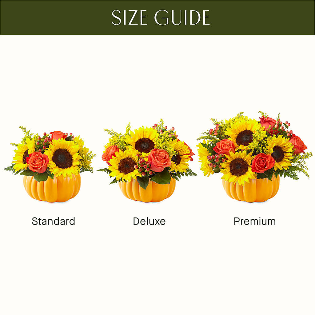 Pick of the Patch Pumpkin Bouquet – SOUTHERN TRADITIONS FLORAL & GIFTS, Swainsboro GA