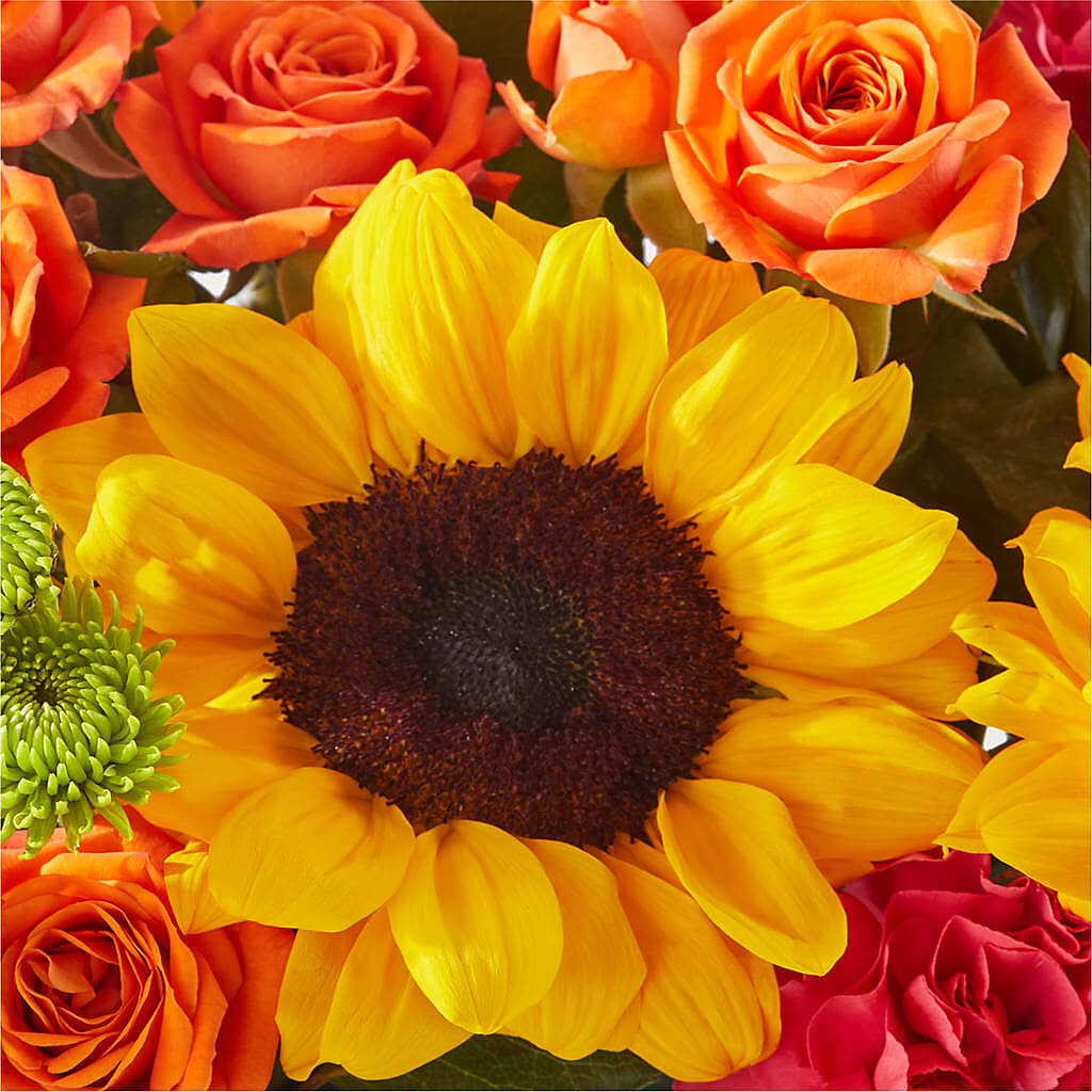 Sun-drenched Blooms Box Bouquet – SOUTHERN TRADITIONS FLORAL & GIFTS, Swainsboro GA