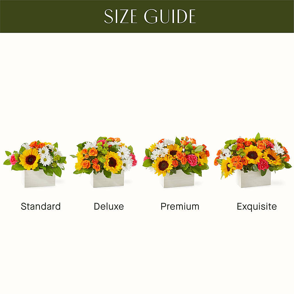 Sun-drenched Blooms Box Bouquet – SOUTHERN TRADITIONS FLORAL & GIFTS, Swainsboro GA