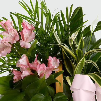 Living Spirit Dishgarden – SOUTHERN TRADITIONS FLORAL & GIFTS, Swainsboro GA