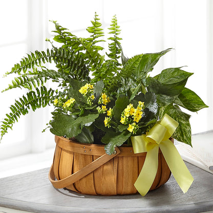 Always Dear Dishgarden – SOUTHERN TRADITIONS FLORAL & GIFTS, Swainsboro GA