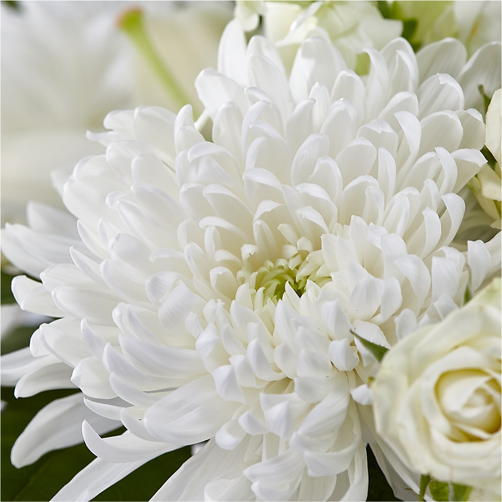 Classic Ivory – A Florist Original – SOUTHERN TRADITIONS FLORAL & GIFTS, Swainsboro GA
