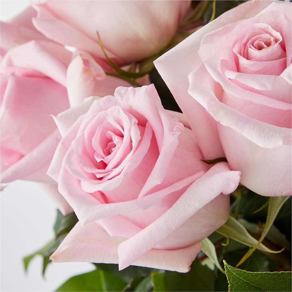 Picture Perfect Pink Rose Bouquet – SOUTHERN TRADITIONS FLORAL & GIFTS, Swainsboro GA