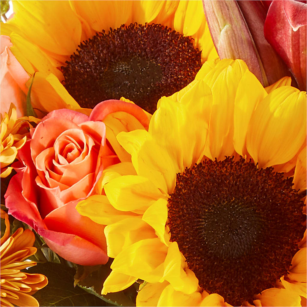 Acorn Lane Bouquet – SOUTHERN TRADITIONS FLORAL & GIFTS, Swainsboro GA