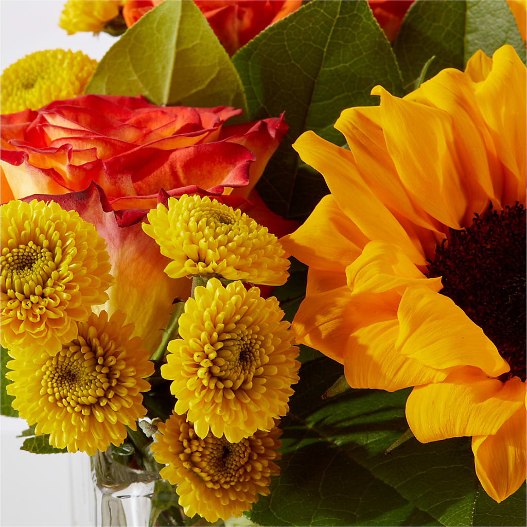 Picnic in the Park Bouquet – SOUTHERN TRADITIONS FLORAL & GIFTS, Swainsboro GA