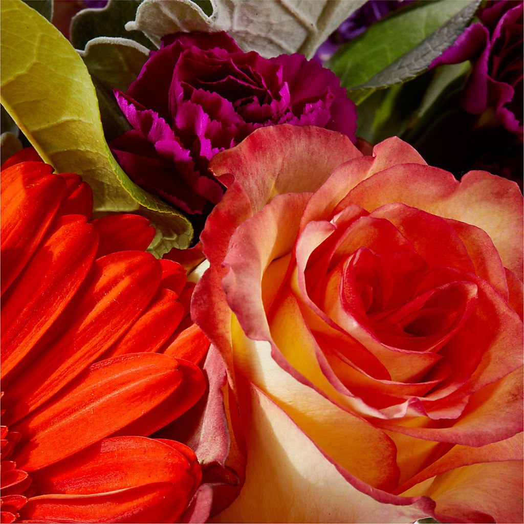 Sangria Bouquet – SOUTHERN TRADITIONS FLORAL & GIFTS, Swainsboro GA