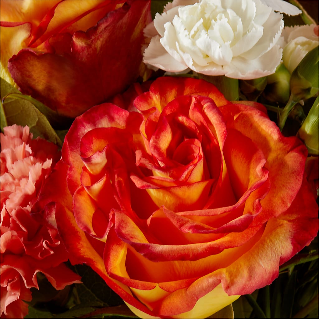 Apricot Glow Bouquet – SOUTHERN TRADITIONS FLORAL & GIFTS, Swainsboro GA