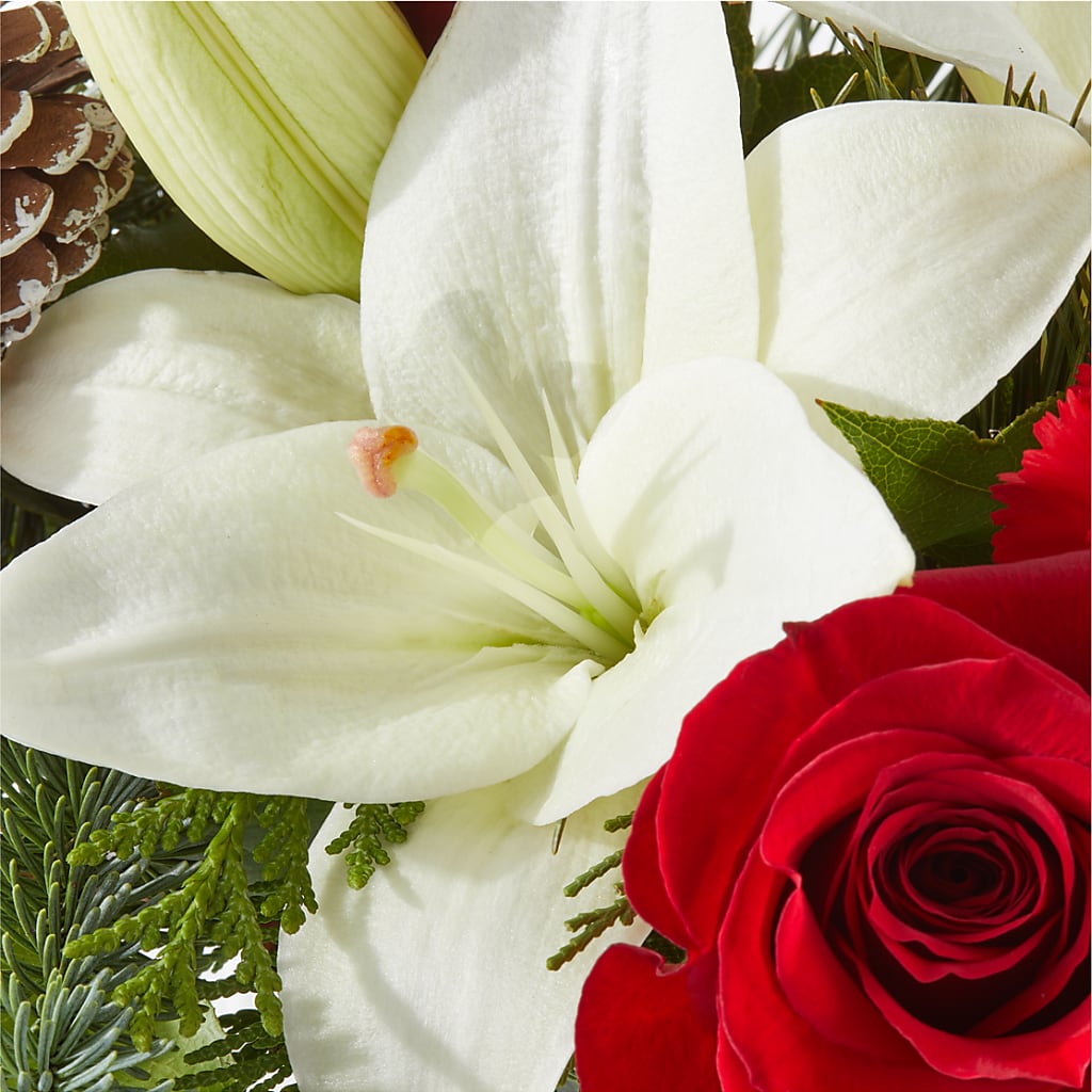 Oh So Jolly Bouquet – SOUTHERN TRADITIONS FLORAL & GIFTS, Swainsboro GA