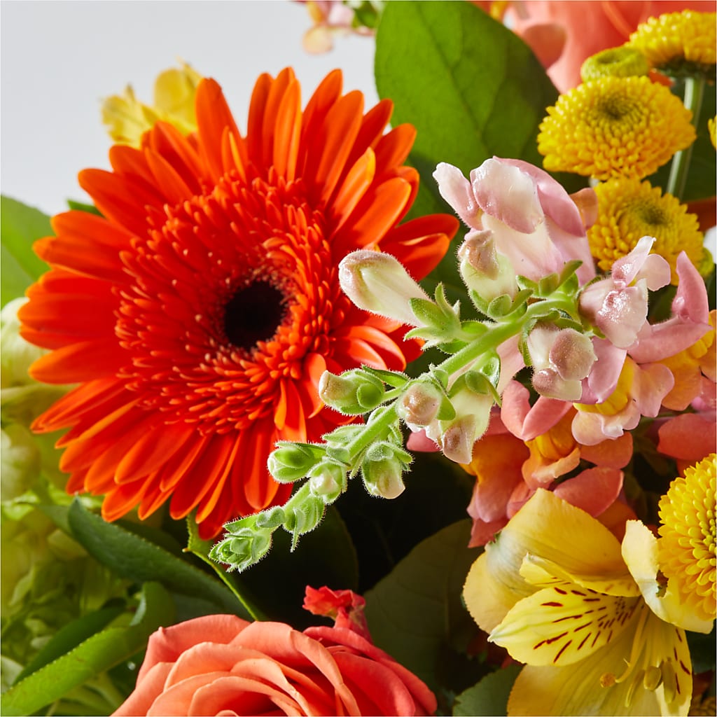 Autumn Sunshine Bouquet – SOUTHERN TRADITIONS FLORAL & GIFTS, Swainsboro GA