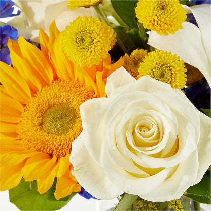 Stargazing Bouquet – SOUTHERN TRADITIONS FLORAL & GIFTS, Swainsboro GA