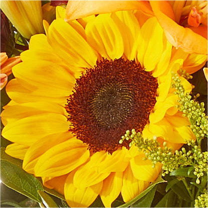Seasons Change Bouquet – SOUTHERN TRADITIONS FLORAL & GIFTS, Swainsboro GA