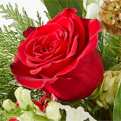 Deck the Halls Bouquet – SOUTHERN TRADITIONS FLORAL & GIFTS, Swainsboro GA