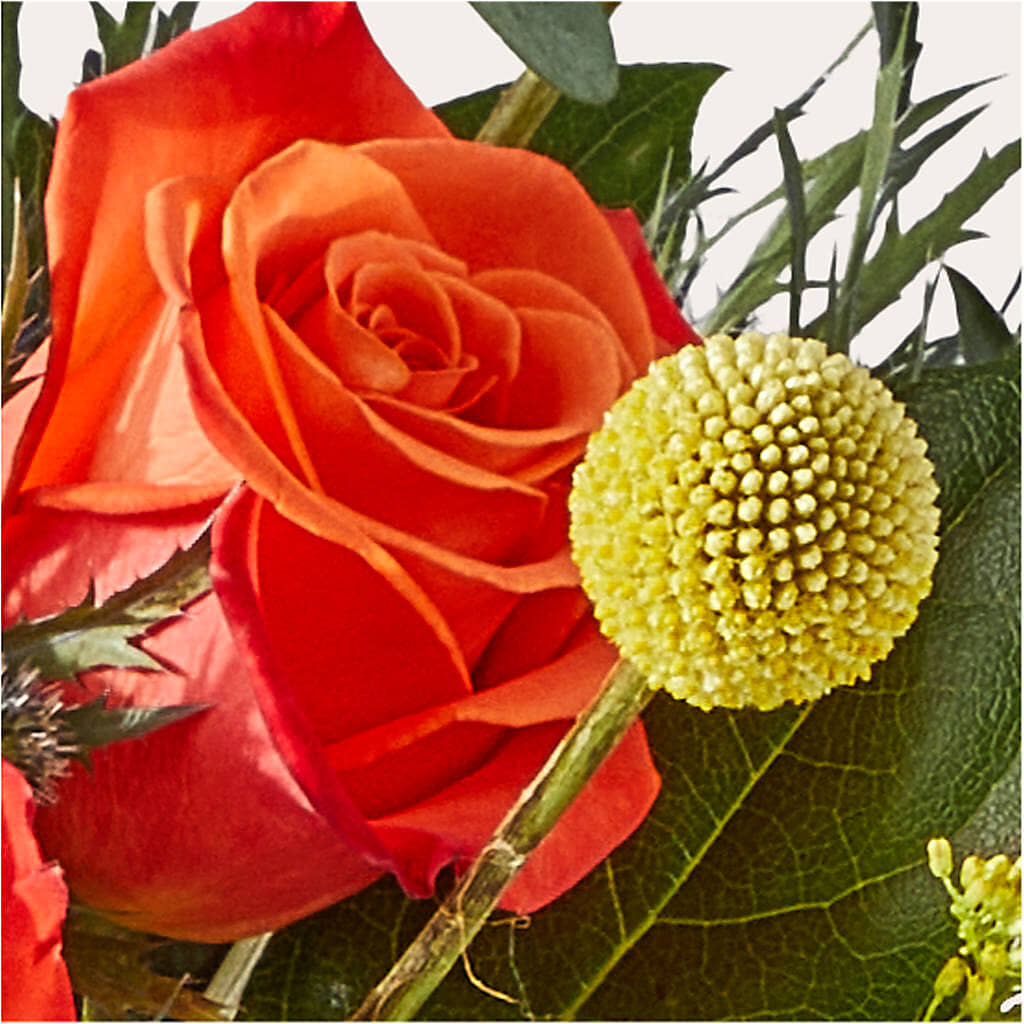 Disco Bouquet – SOUTHERN TRADITIONS FLORAL & GIFTS, Swainsboro GA