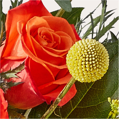 Disco Bouquet – SOUTHERN TRADITIONS FLORAL & GIFTS, Swainsboro GA