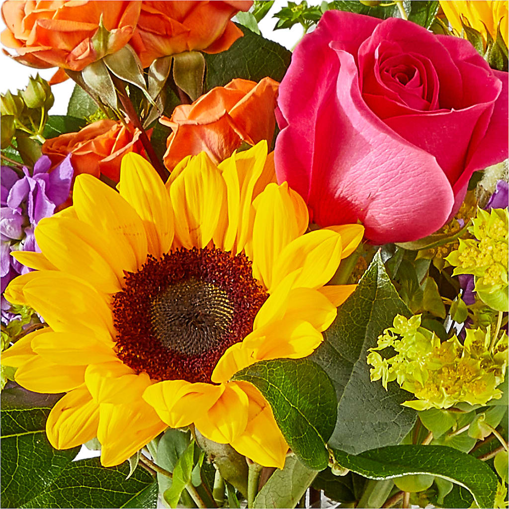 Vibrant Greetings Bouquet – SOUTHERN TRADITIONS FLORAL & GIFTS, Swainsboro GA