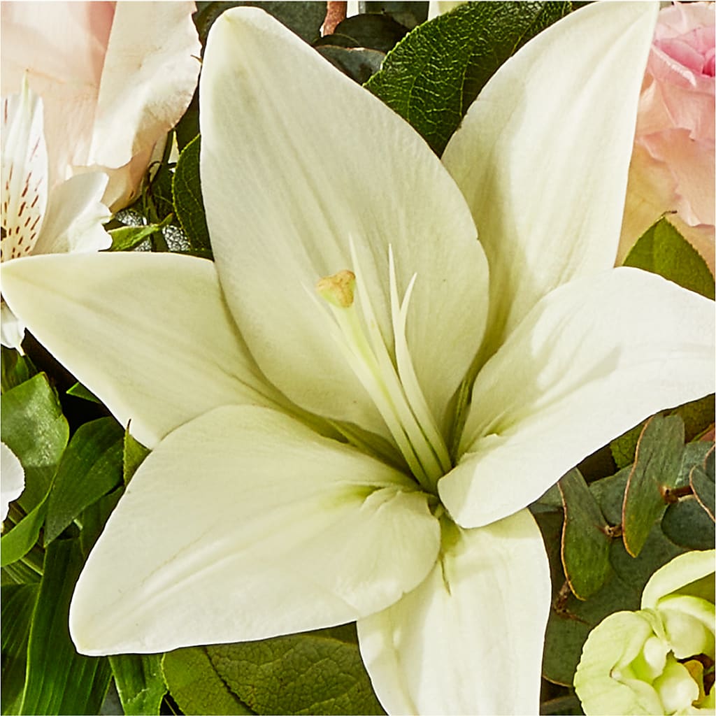 Ballet Slippers Bouquet – SOUTHERN TRADITIONS FLORAL & GIFTS, Swainsboro GA