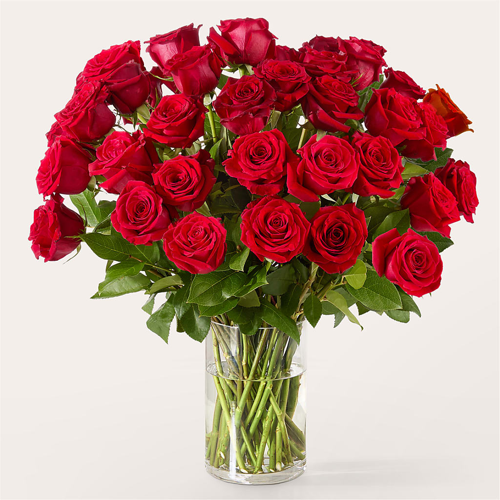 The One Red Rose Bouquet – SOUTHERN TRADITIONS FLORAL & GIFTS, Swainsboro GA