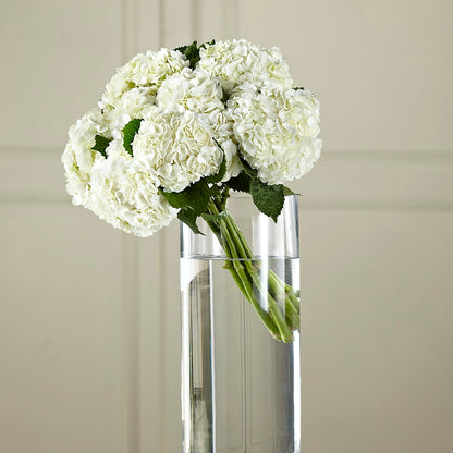 White Hydrangea Hand-Tied Bouquet – SOUTHERN TRADITIONS FLORAL & GIFTS, Swainsboro GA