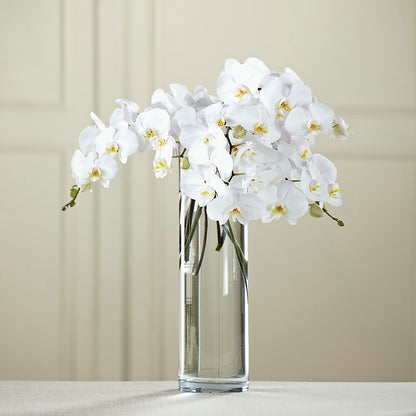 White Phalaenopsis Bouquet – SOUTHERN TRADITIONS FLORAL & GIFTS, Swainsboro GA