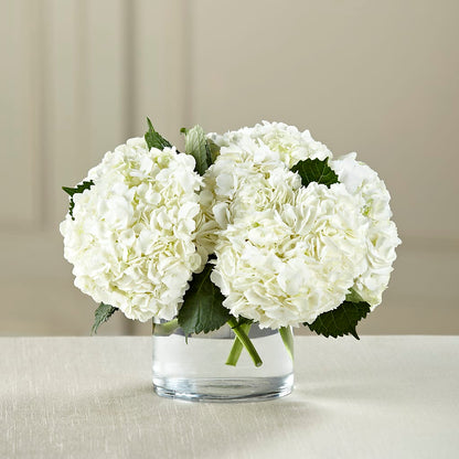 White Hydrangea Bouquet – SOUTHERN TRADITIONS FLORAL & GIFTS, Swainsboro GA